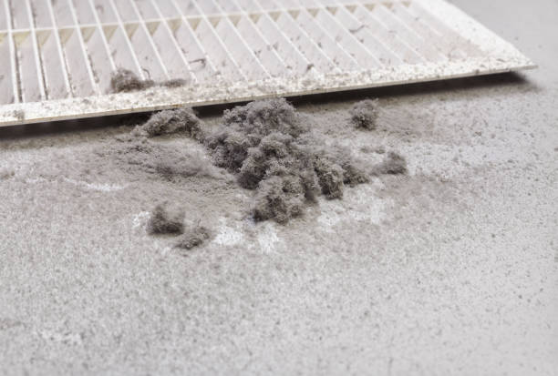 Best Air Duct Cleaning Near Me  in Gonzales, LA