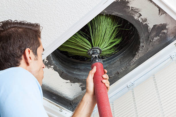 Air Duct Mold Removal in Gonzales, LA